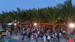 a crowd of people standing around a beach next to palm trees