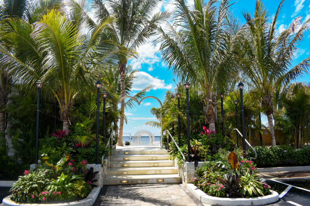 a walkway leading to the beach with palm trees